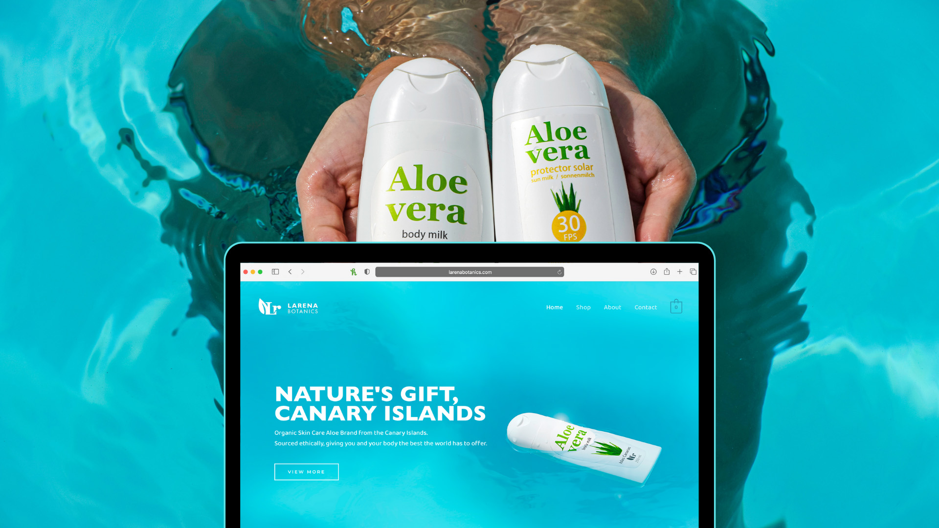 Larena Website